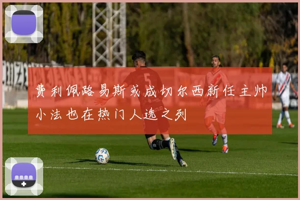 费利佩路易斯或成切尔西新任主帅小法也在热门人选之列