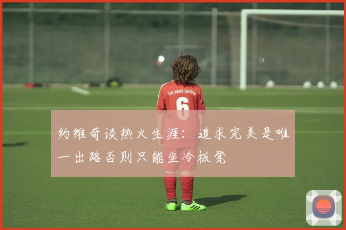 约维奇谈热火生涯：追求完美是唯一出路否则只能坐冷板凳