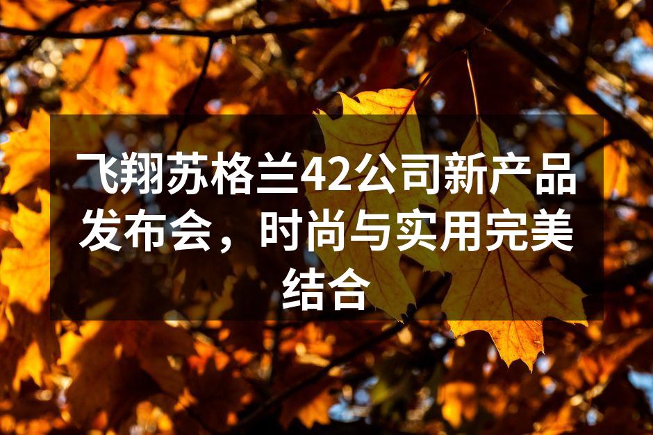 新款箱包展示