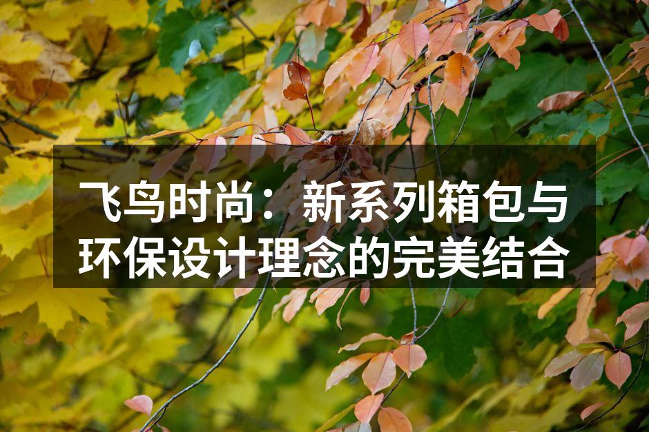 新系列箱包展示